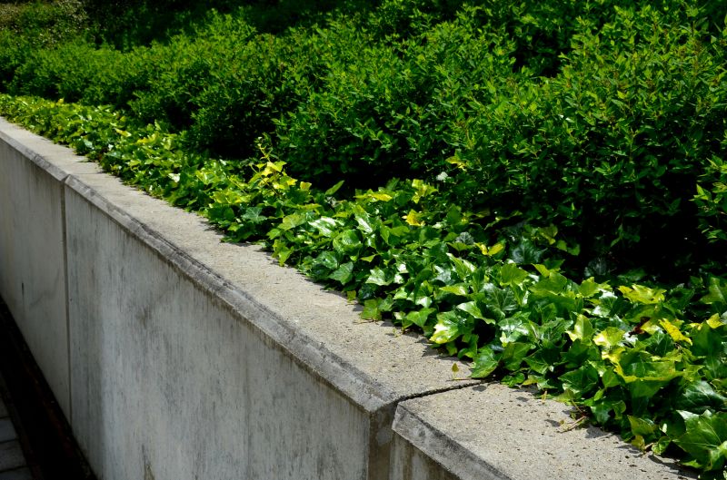 Products For Concrete Retaining Wall Installations in use