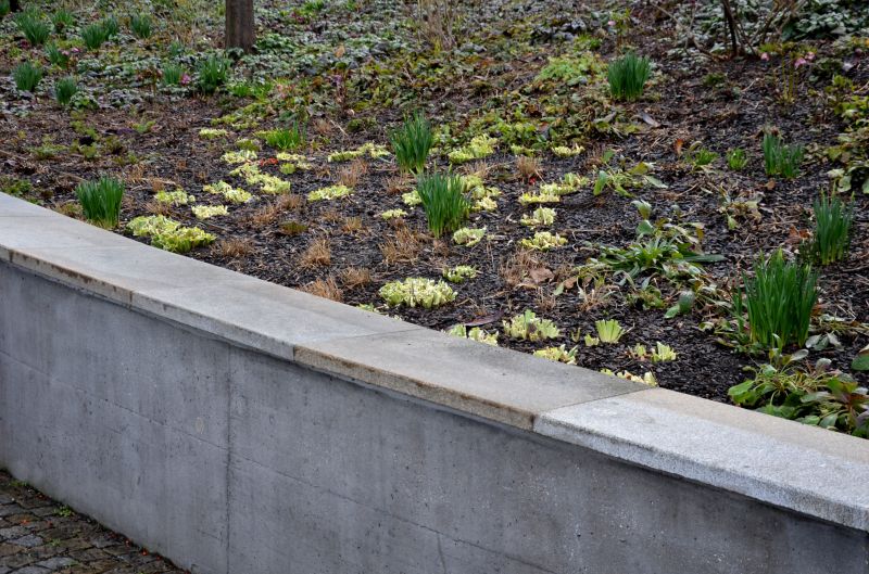 Concrete Retaining Wall Installation Services
